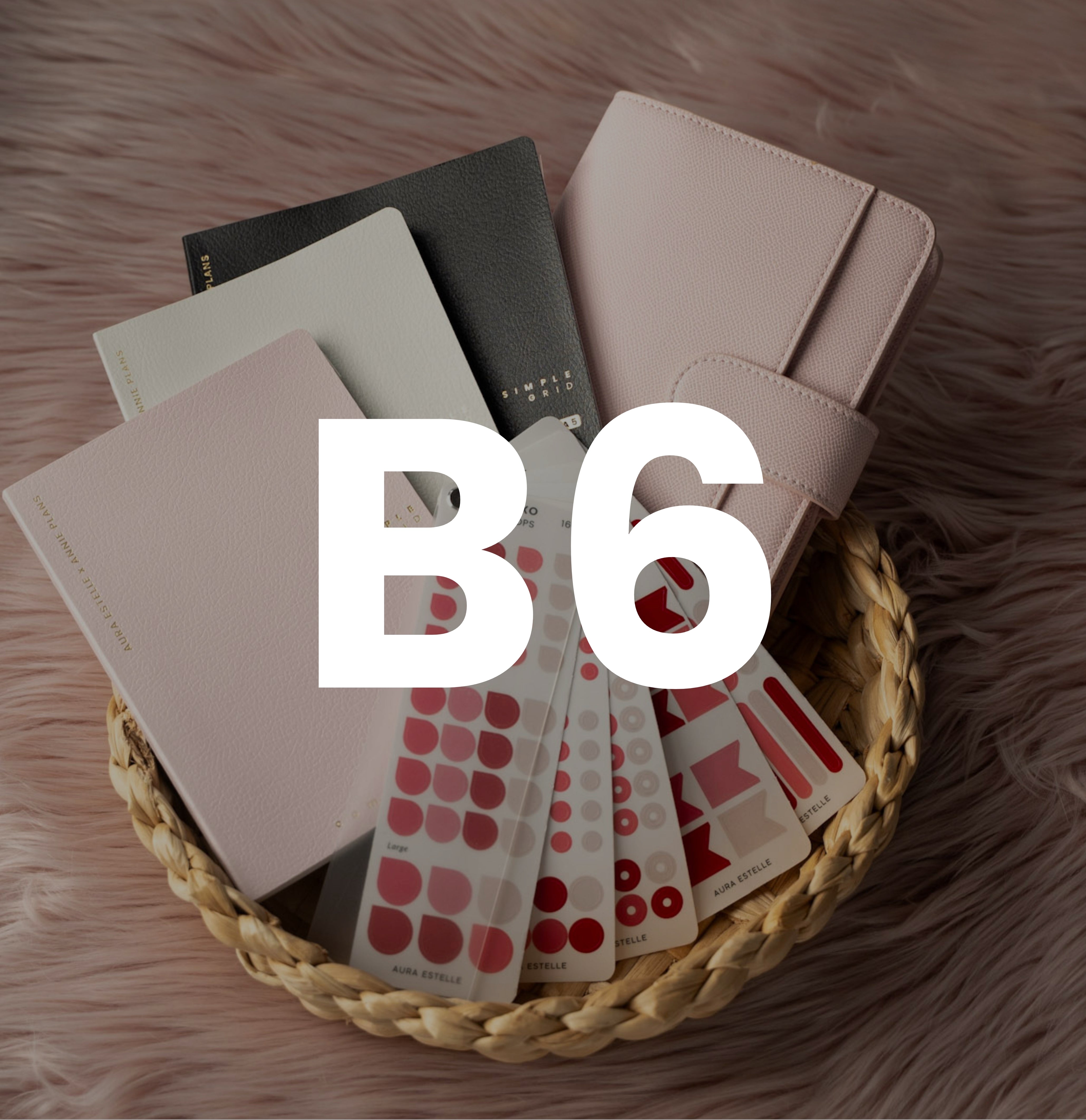 B6 Bundle