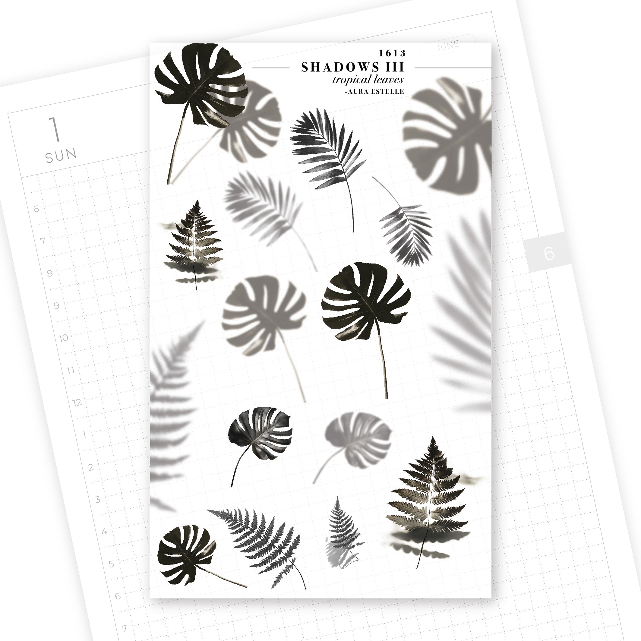 Washi Stickers | Shadows III Tropical Leaves