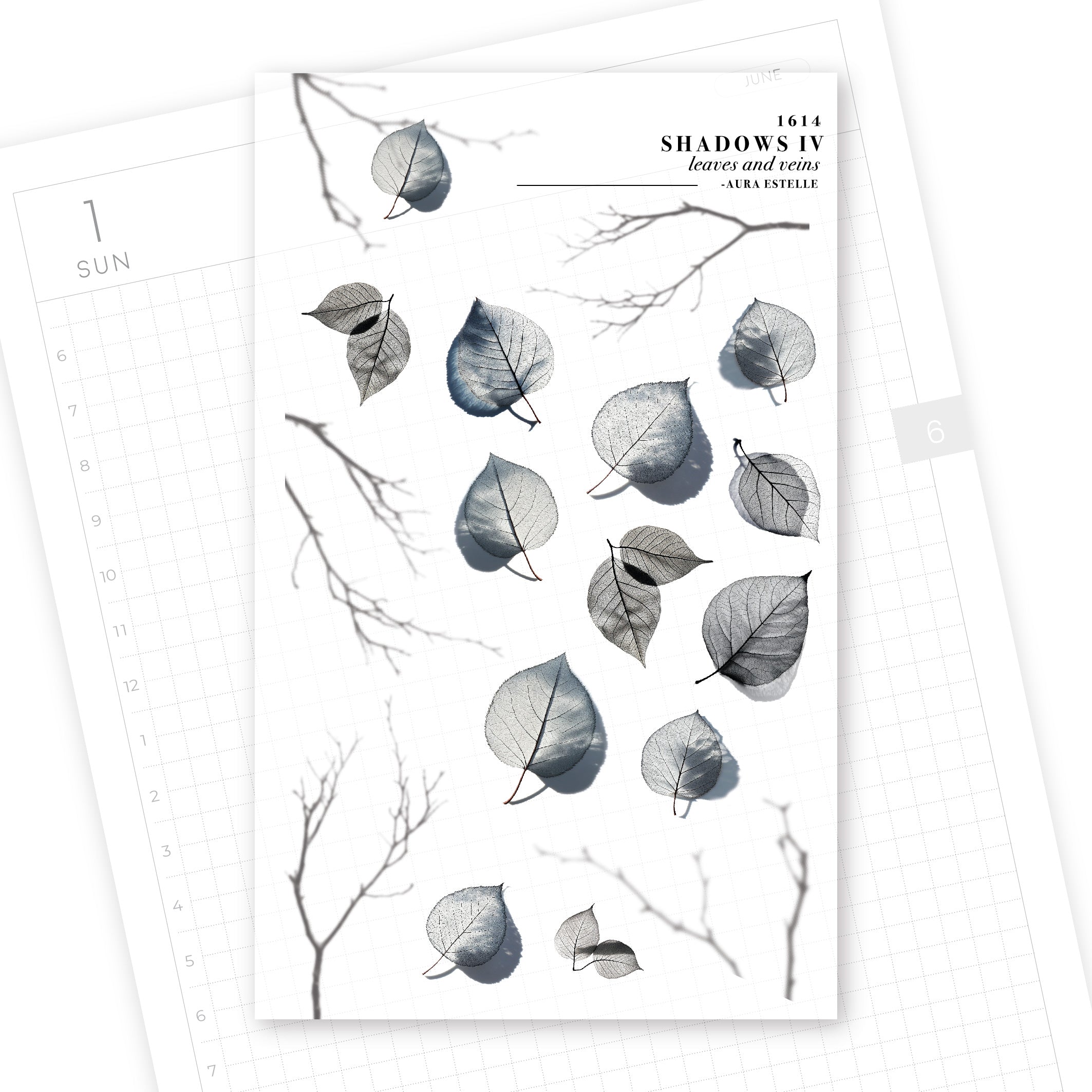 Washi Stickers | Shadows IV Leaves and Veins