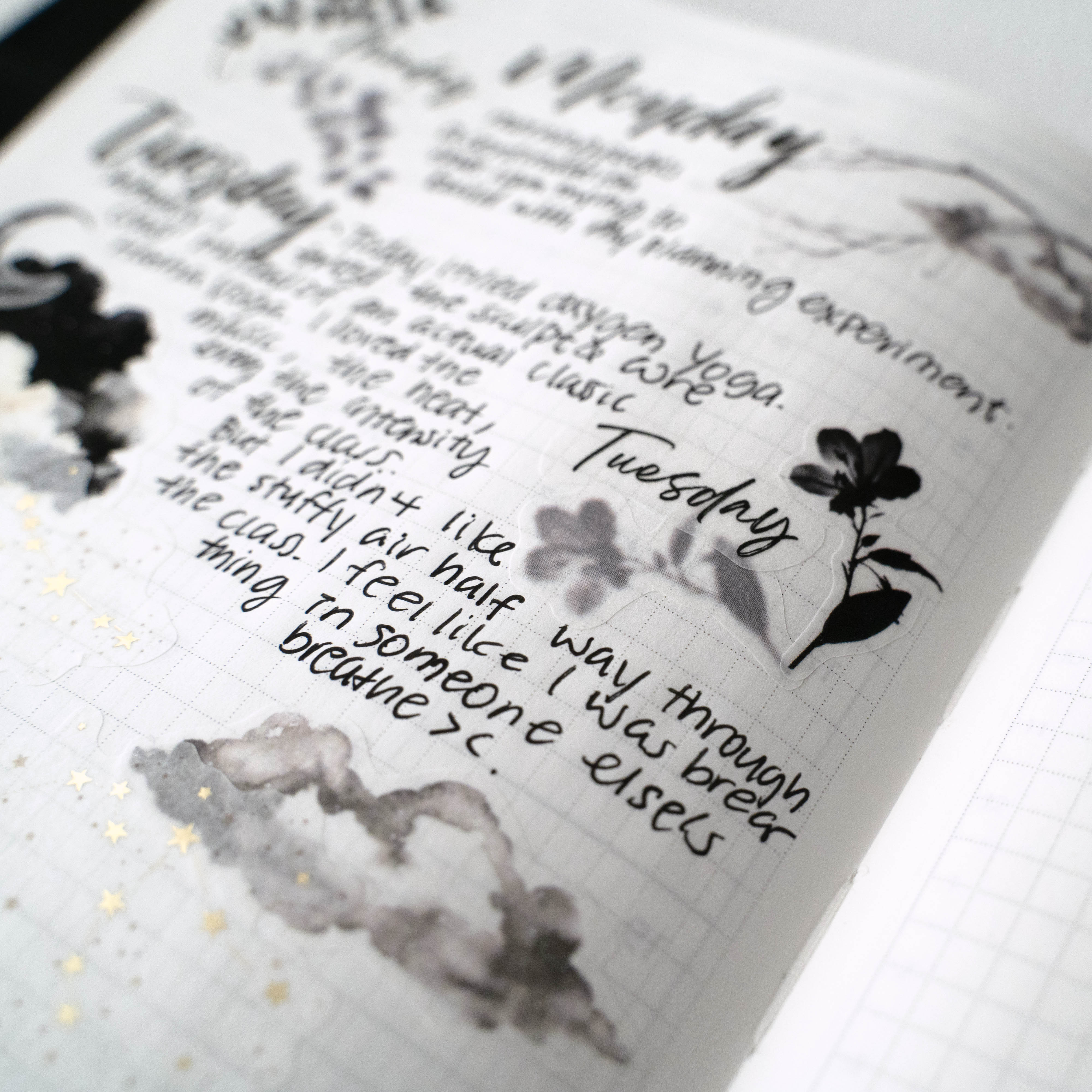 Washi Stickers | Shadows II Flowers