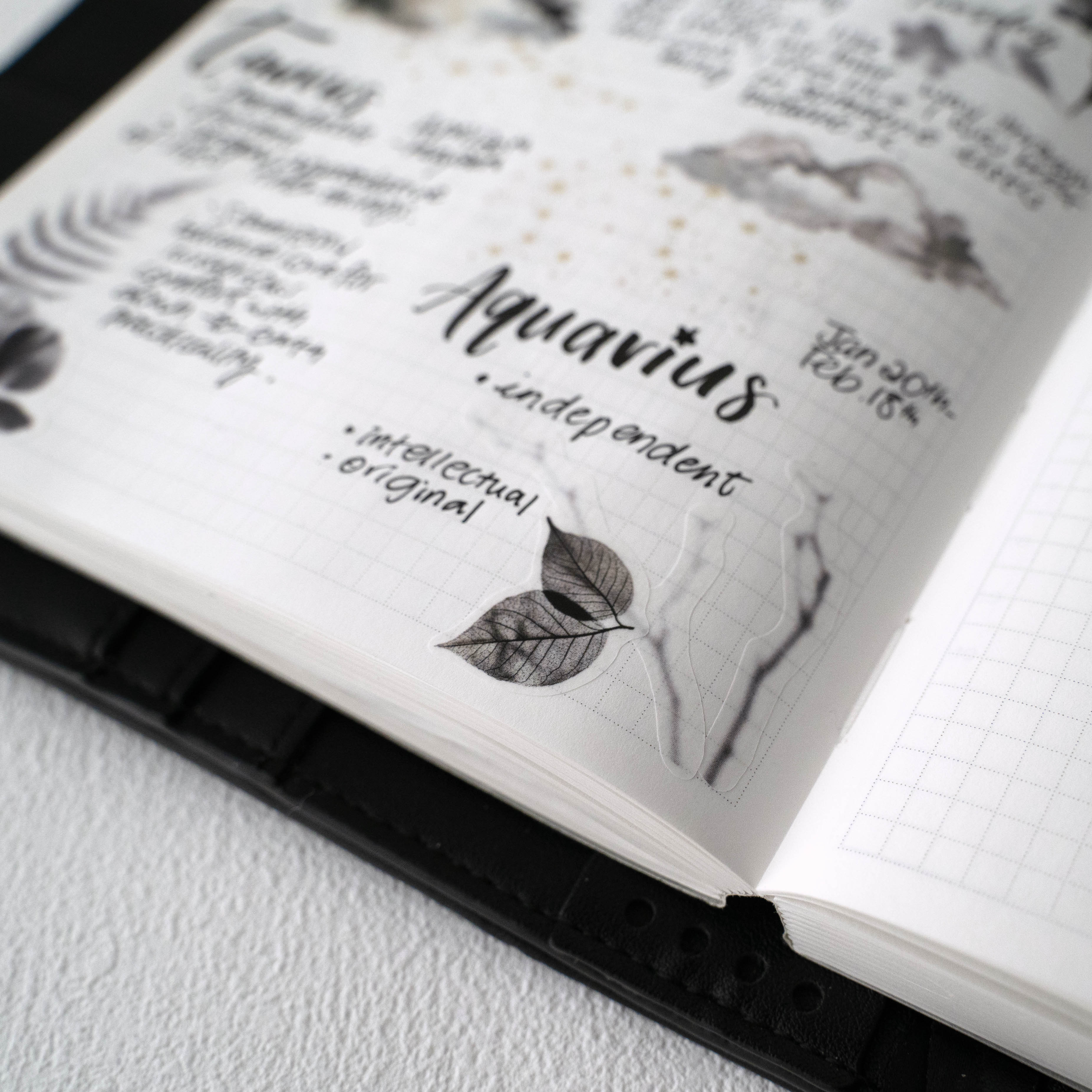 Washi Stickers | Shadows IV Leaves and Veins