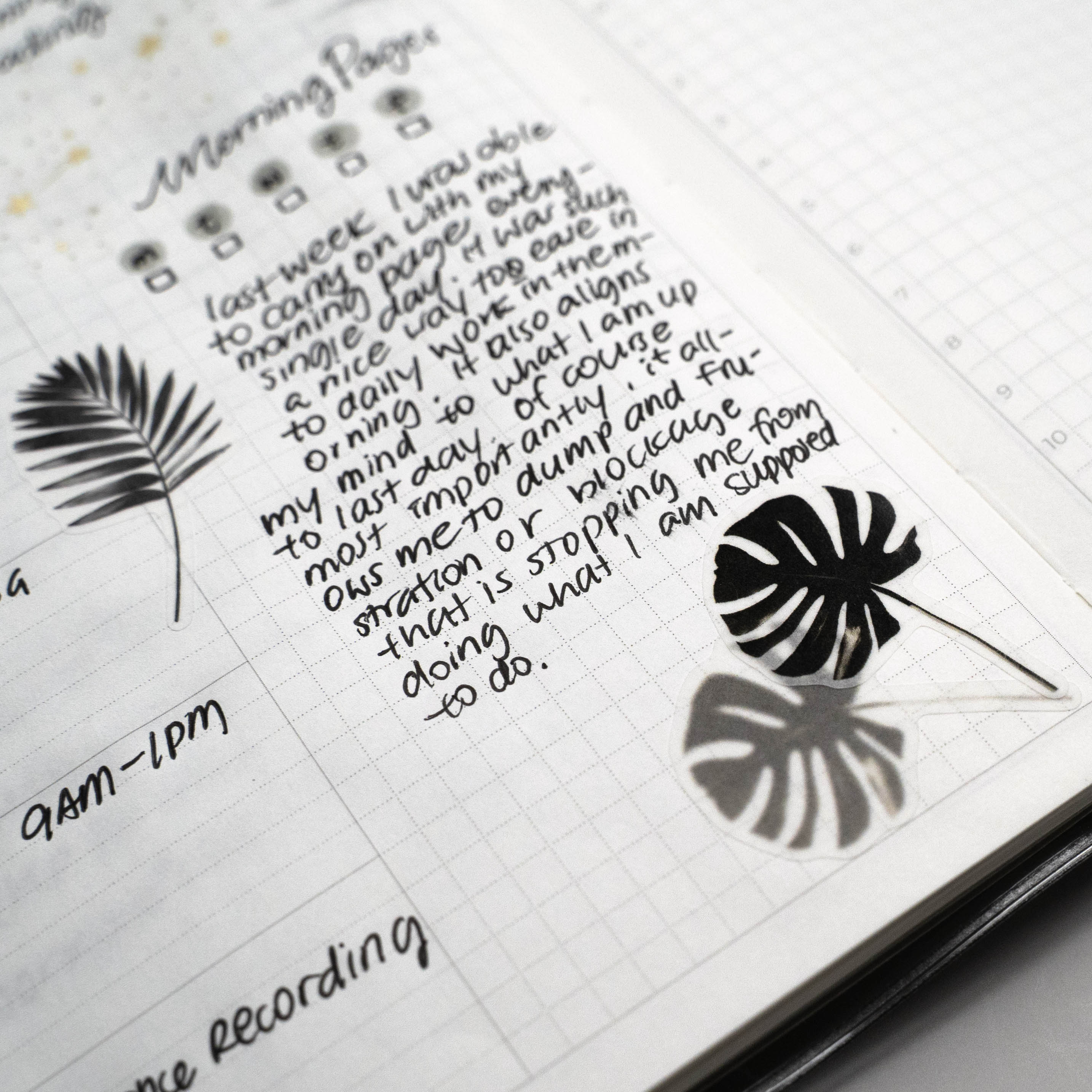 Washi Stickers | Shadows III Tropical Leaves