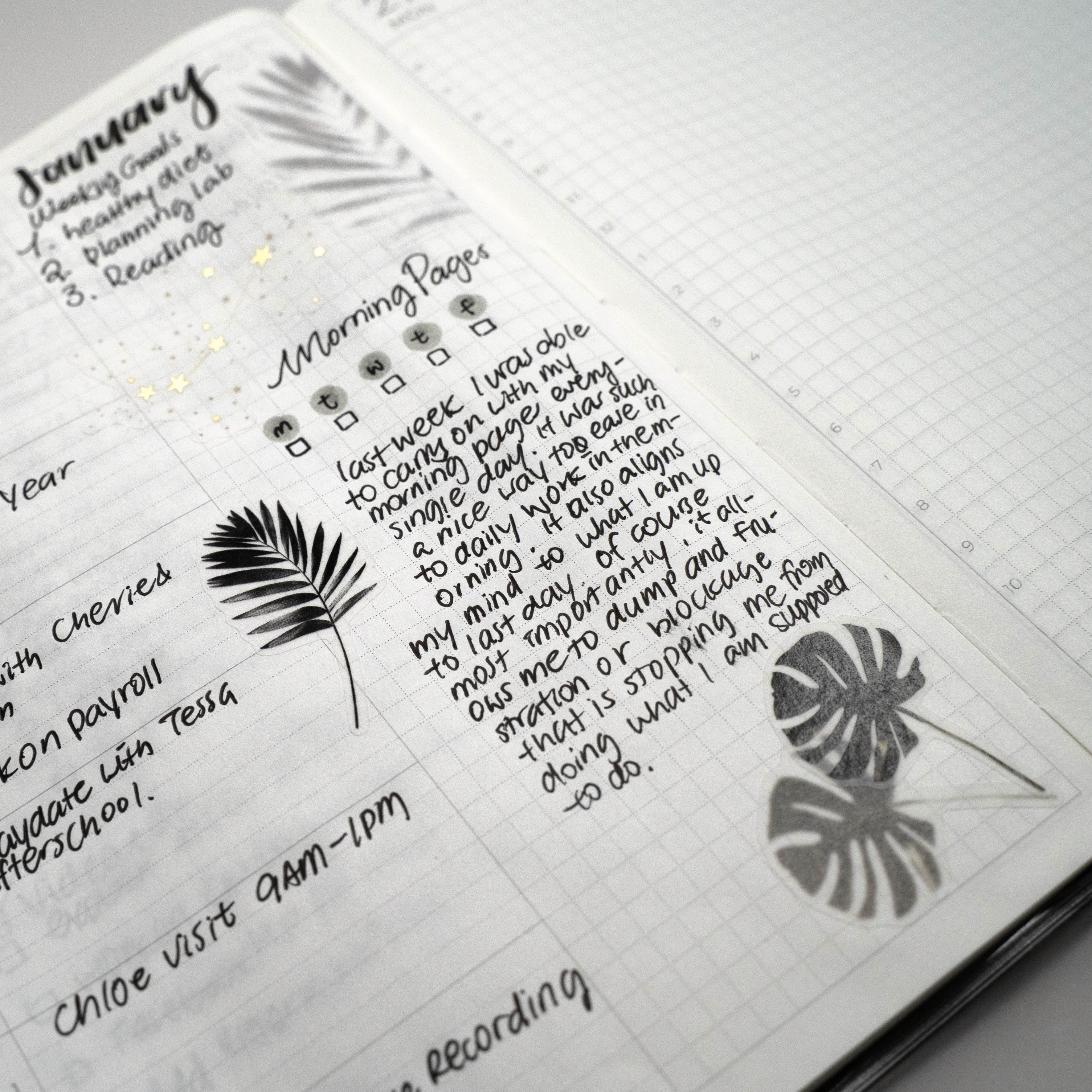 Aura Estelle Washi Stickers | Shadows III Tropical Leaves tropical leaf stickers used on planner journal notes