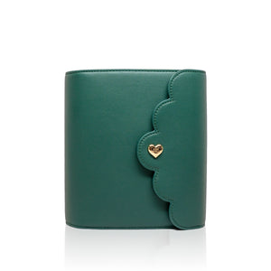 Cloud Planner A6 30mm Rings