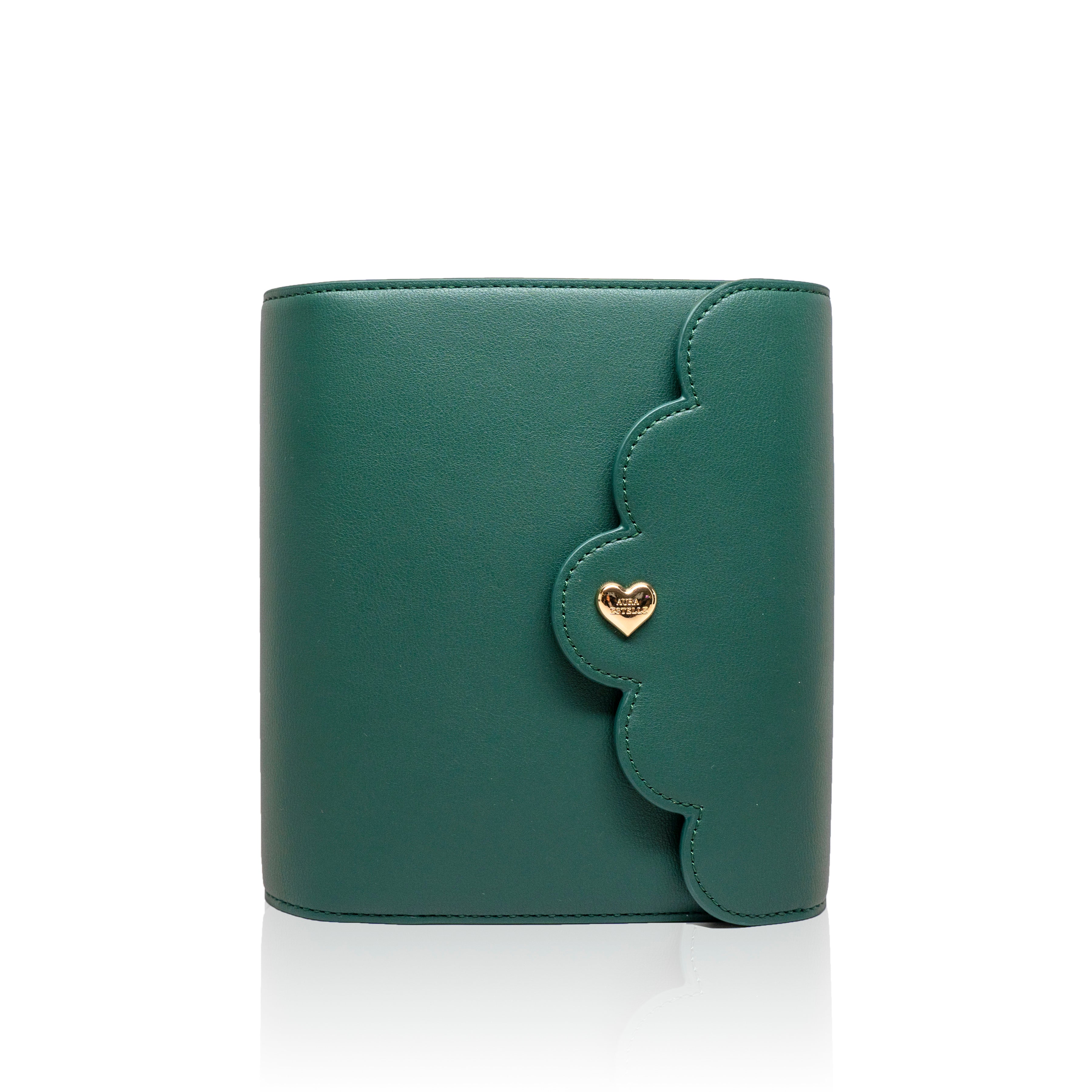 Cloud Planner A6 30mm Rings