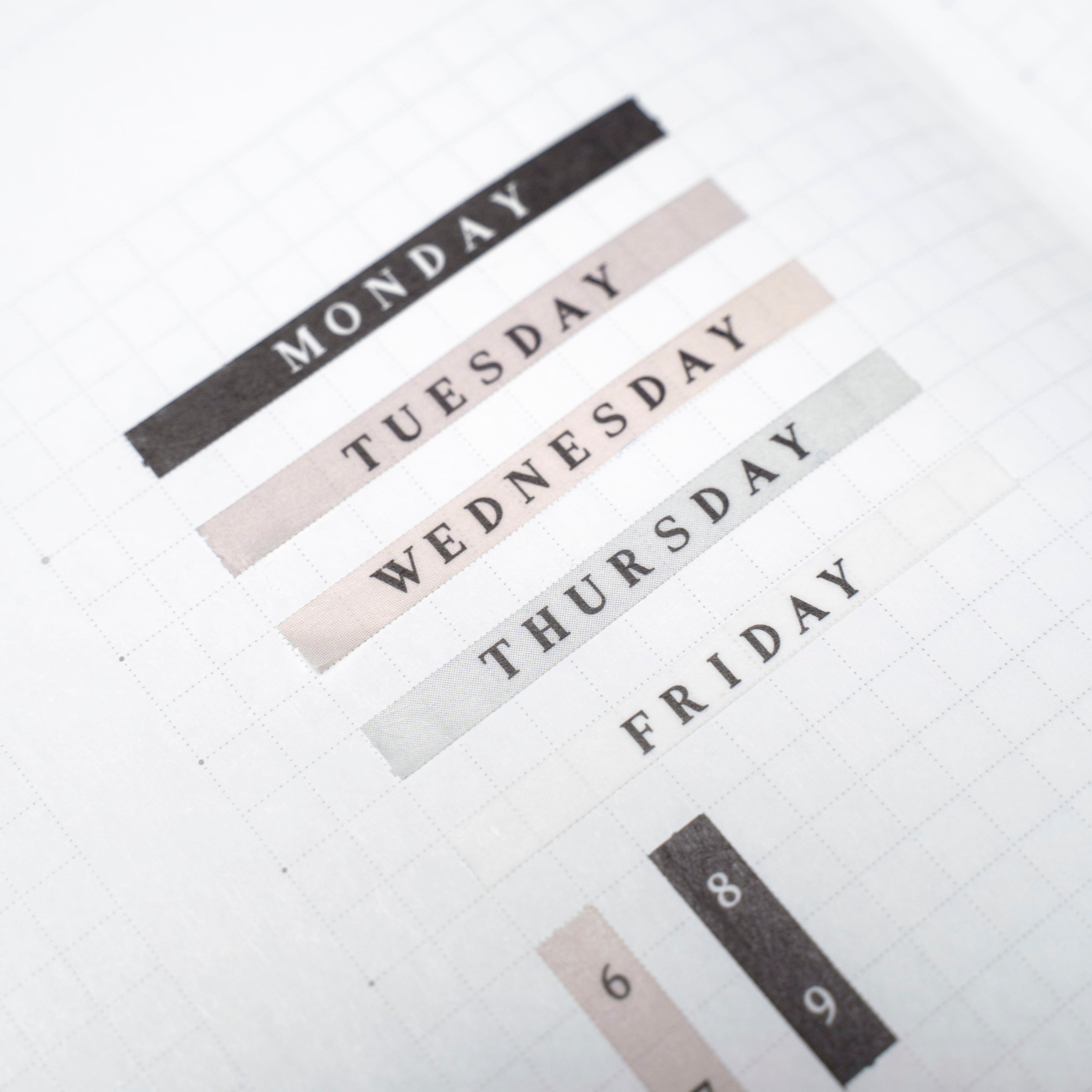 Days of The Week Washi Box [Neutral] 0.15"